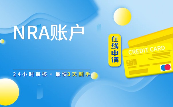 了解NRA账户系统 了解NRA账户系统