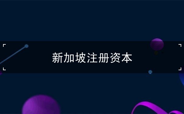 新加坡注册资本