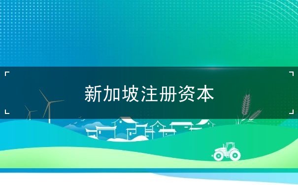 新加坡注册资本