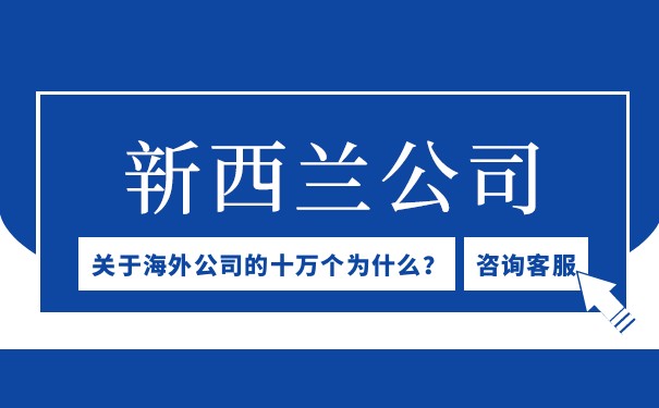 探索新西兰公司商机与注册要点
