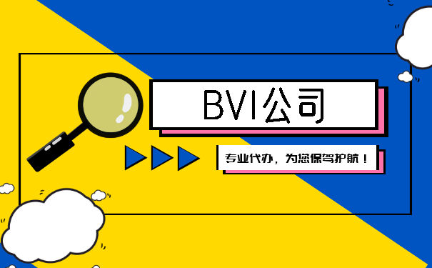 比较IBC与本地公司：BVI公司注册类型