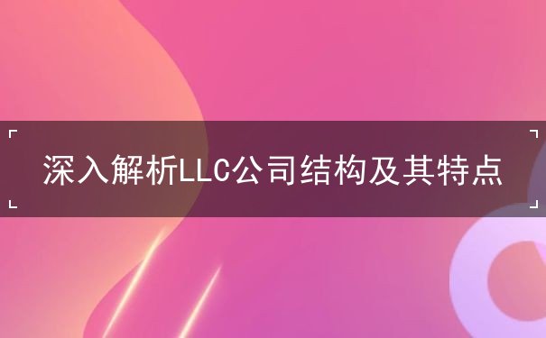 深入解析LLC公司结构及其特点 深入解析LLC公司结构及其特点