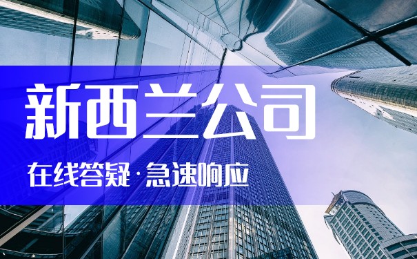 新西兰公司股东对公司起何种作用？