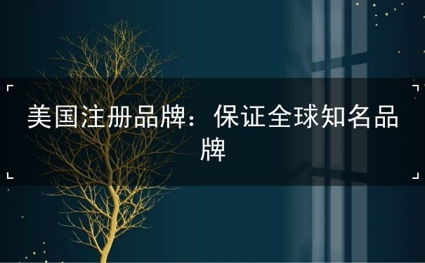美国注册品牌 美国注册品牌