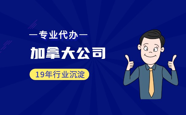 注册加拿大公司年审所需资料有哪些? 注册加拿大公司年审所需资料有哪些?