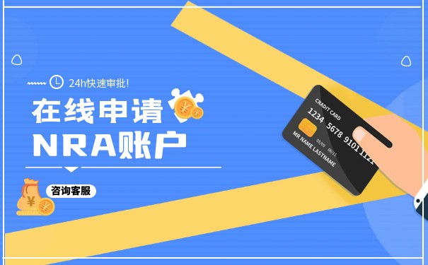 NRA账户规定 NRA账户规定