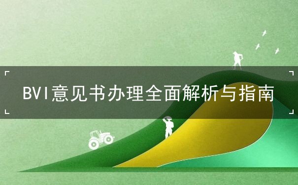 BVI意见书办理全面解析与指南 BVI意见书办理全面解析与指南