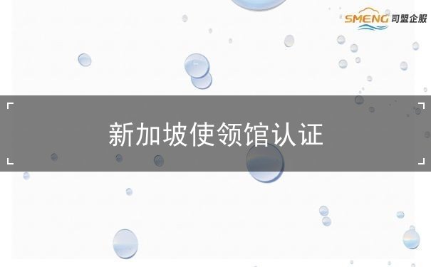 新加坡使领馆认证