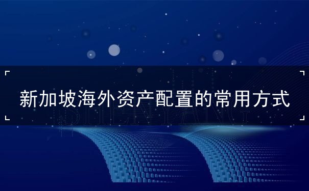 新加坡海外资产配置的常用方式