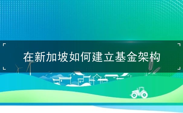 在新加坡如何建立基金架构
