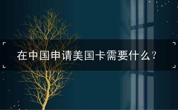 在中国申请美国卡需要什么 在中国申请美国卡需要什么