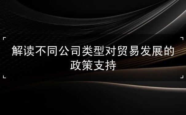解读不同公司类型对贸易发展的政策支持