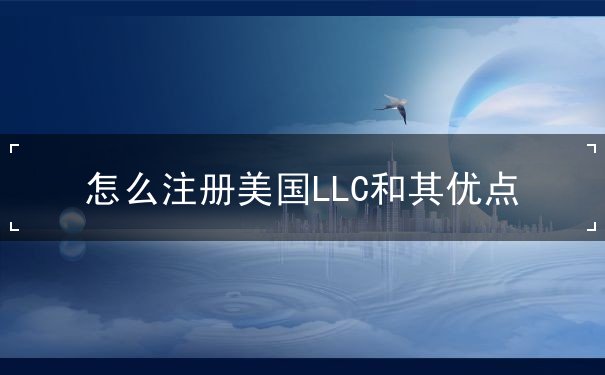 怎么注册美国LLC和其优点