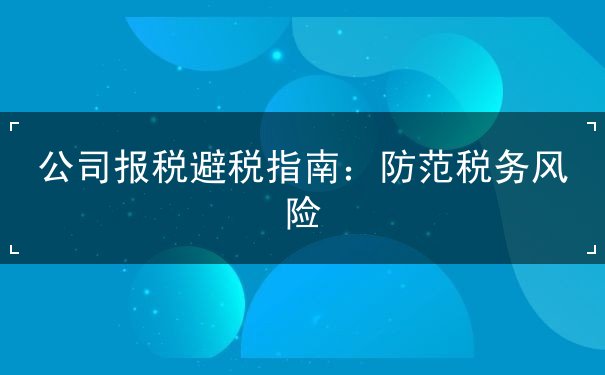 公司报税避税指南 公司报税避税指南