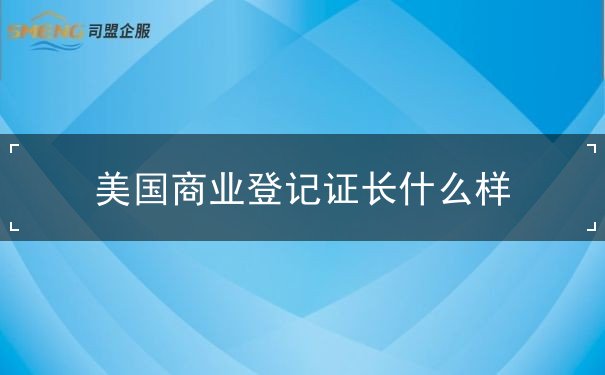 美国商业登记证长什么样 美国商业登记证长什么样