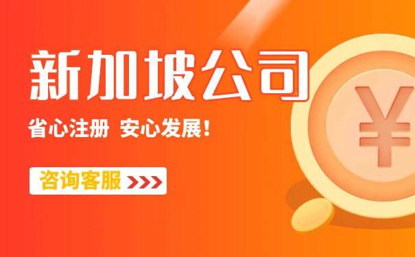 注册新加坡公司：各种公司类型解析