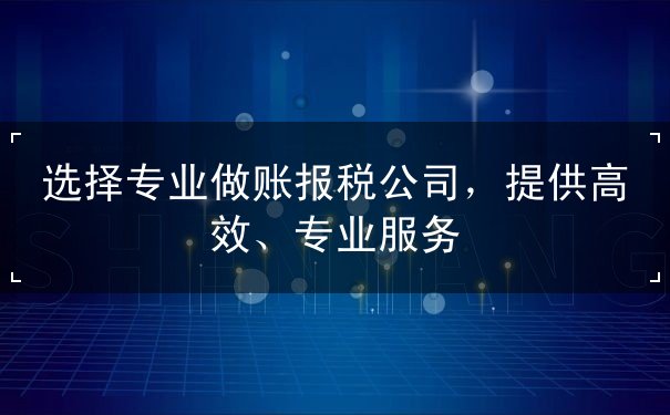 选择专业做账报税公司 选择专业做账报税公司