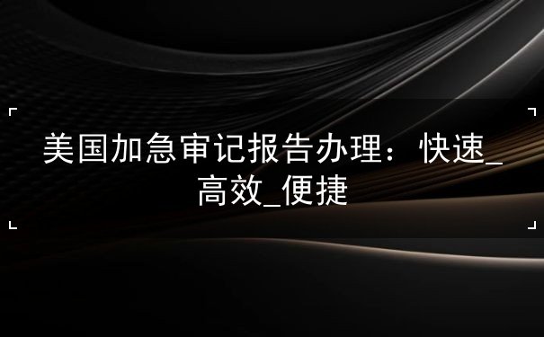 美国加急审记报告办理