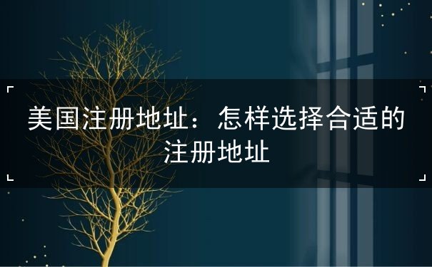 美国注册地址 美国注册地址