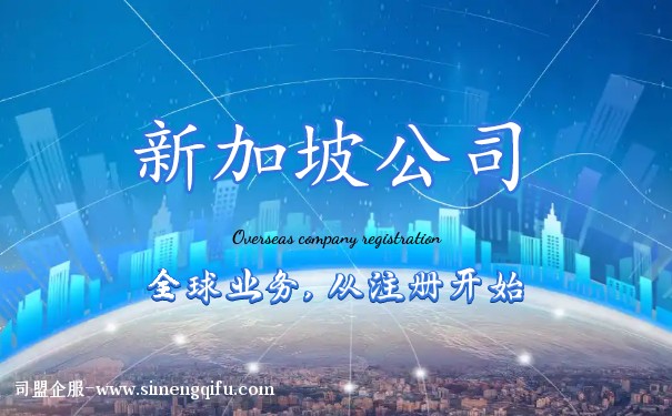 新加坡公司注册查询注册