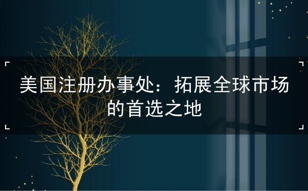 美国注册办事处：拓展全球市场的首选之地
