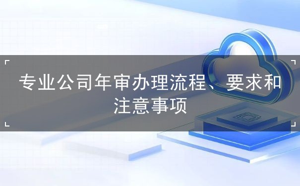 专业公司年审办理流程