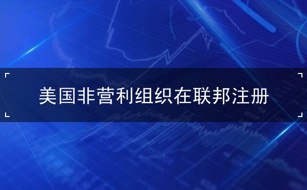 美国非营利组织在联邦注册 美国非营利组织在联邦注册