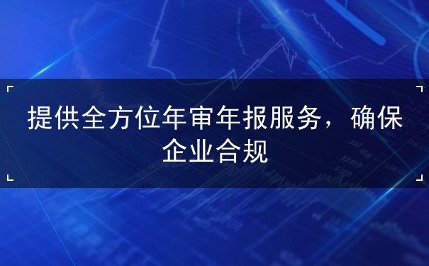 提供全方位年审年报服务