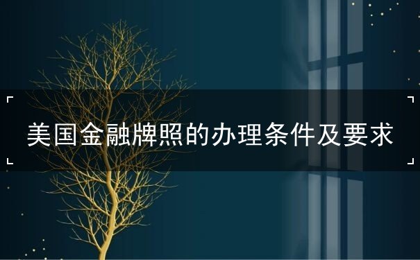 美国金融牌照的办理条件及要求 美国金融牌照的办理条件及要求