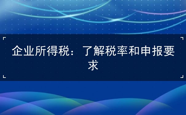 企业所得税 企业所得税