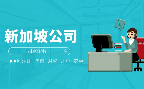 新加坡公司法人查询