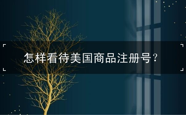 怎样看待美国商品注册号 怎样看待美国商品注册号