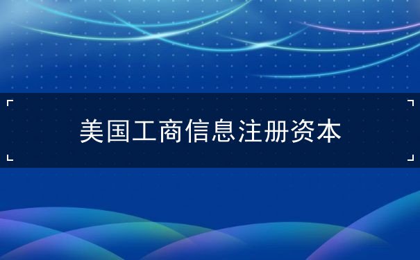 美国工商信息注册资本 美国工商信息注册资本
