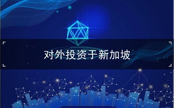 对外投资于新加坡