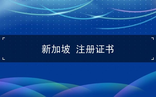 新加坡 注册证书