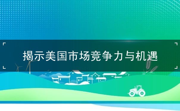 揭示美国市场竞争力与机遇 揭示美国市场竞争力与机遇