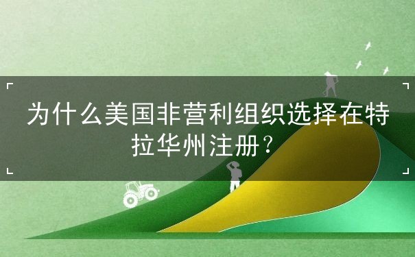 为什么美国非营利组织选择在特拉华州注册？