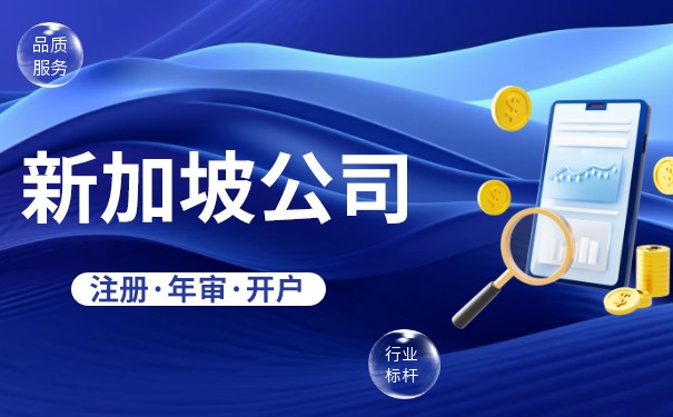 如何在新加坡查一家公司