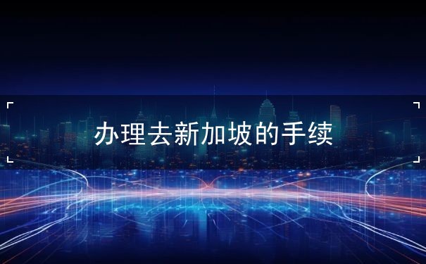 办理去新加坡的手续