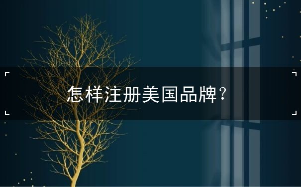 怎样注册美国品牌