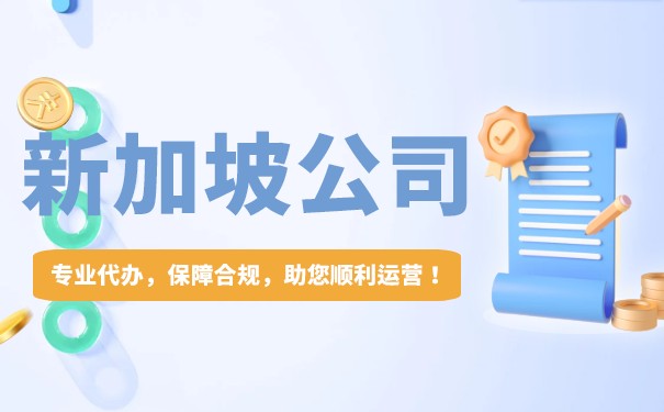 新加坡会计公司