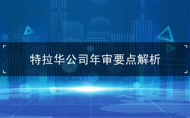 特拉华公司年审要点解析