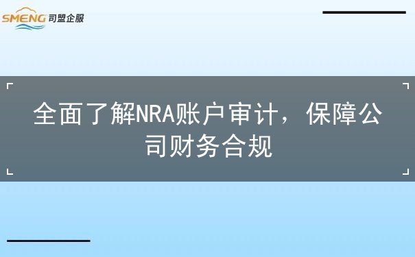 全面了解NRA账户审计,保障公司财务合规 全面了解NRA账户审计,保障公司财务合规