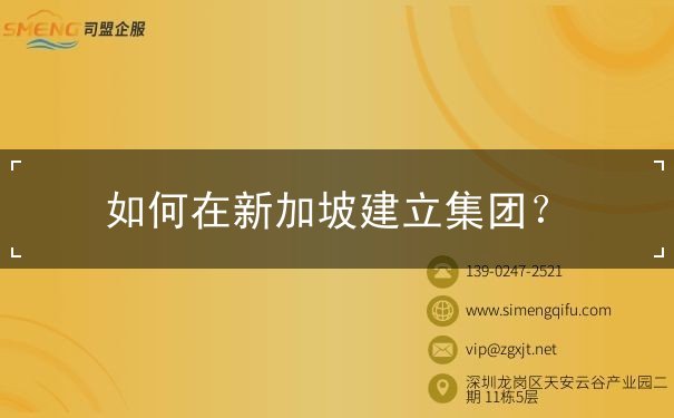 如何在新加坡建立集团