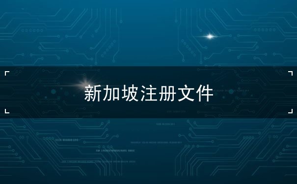 新加坡注册文件