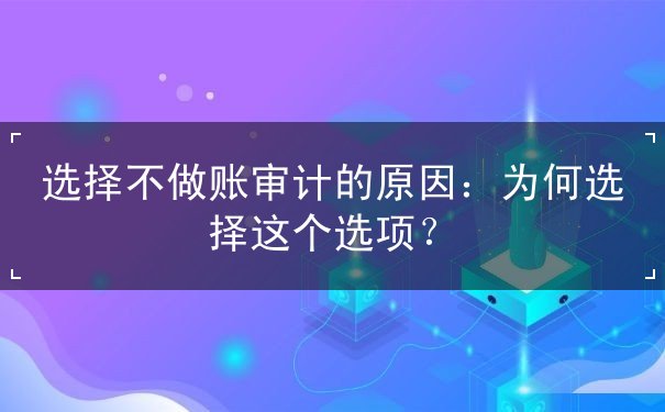 选择不做账审计的原因