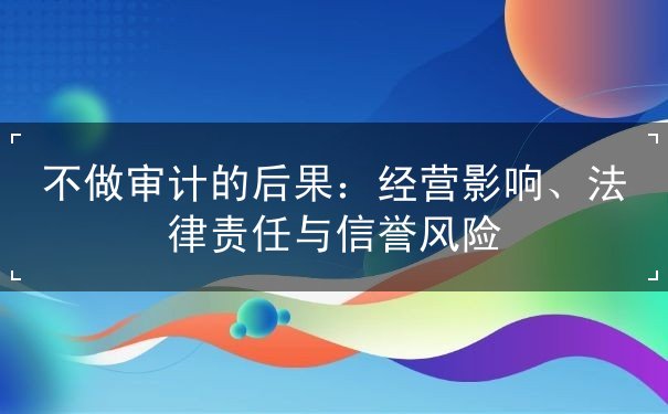 不做审计的后果