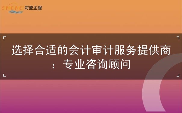 选择合适的会计审计服务提供商