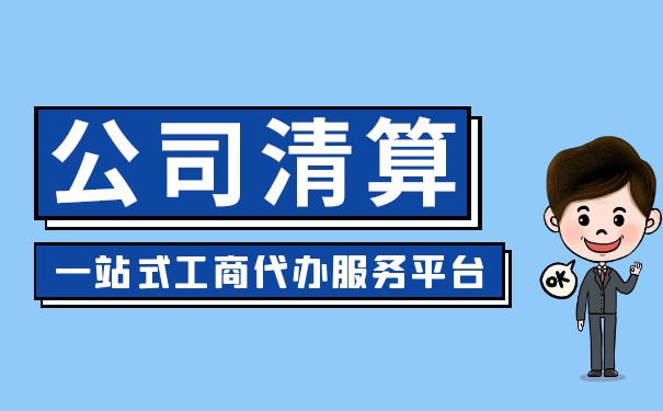 美国公司清算报告