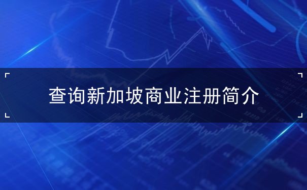 查询新加坡商业注册简介